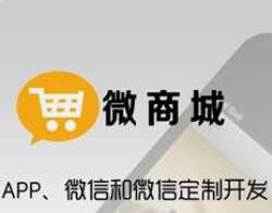 微邦網(wǎng)絡(luò),微商城與小程序商城的運(yùn)營(yíng)成本差異